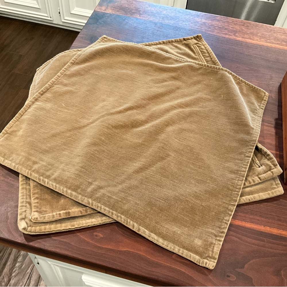Pottery Barn Tan Pillow Covers
